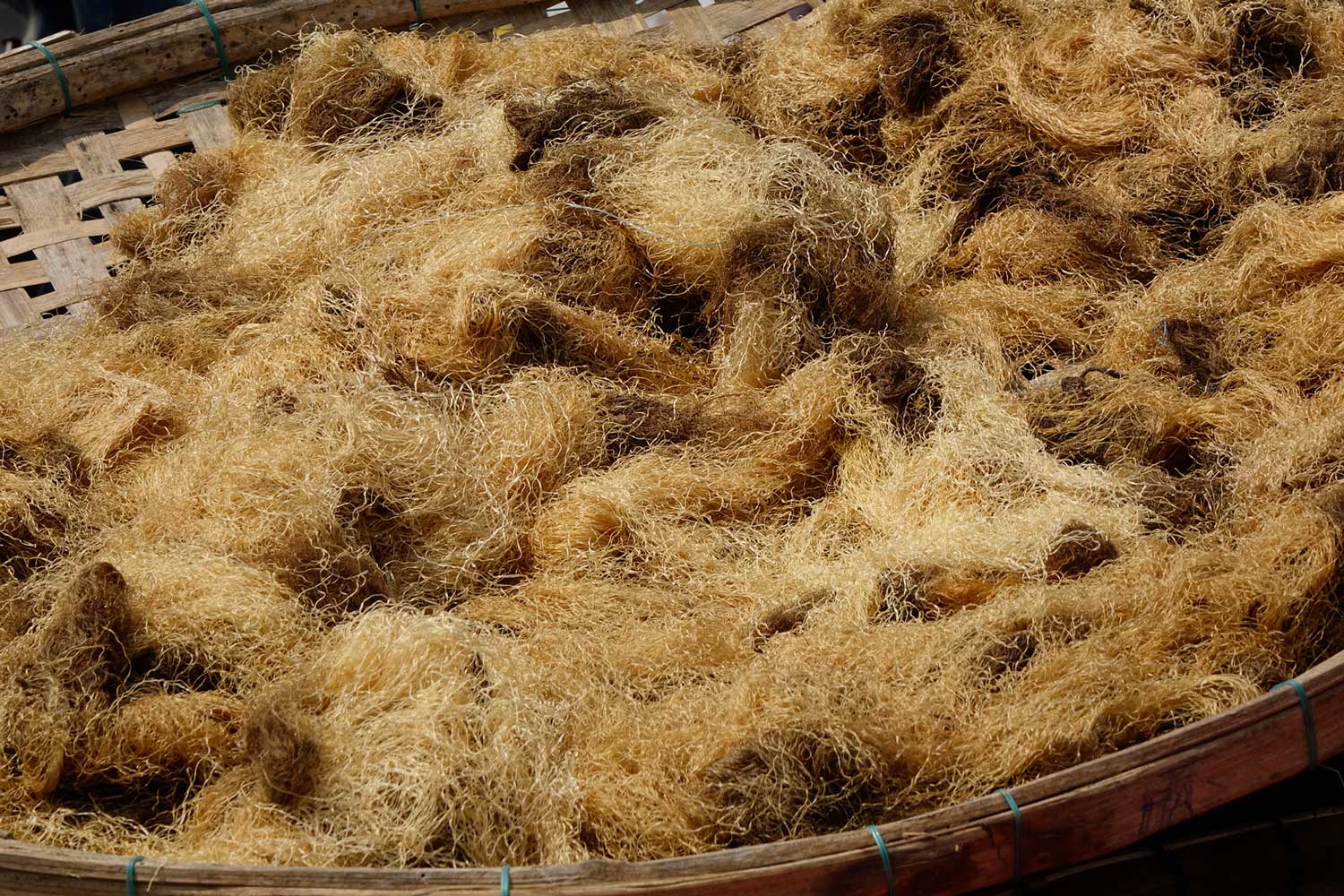 Sun dried rice noodles in Hoi An