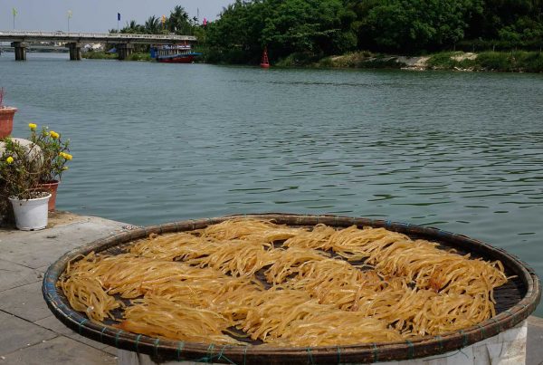 Sun dried rice noodles in Hoi An